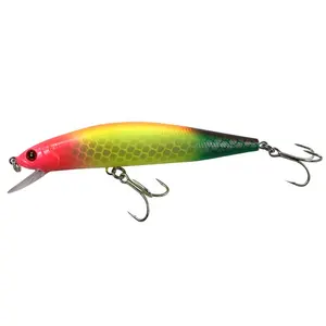 OEM ODM Beste Angel köder Neue Custom Minnow Köder Blank Fishing Kostenlose Probe Minnow Köder