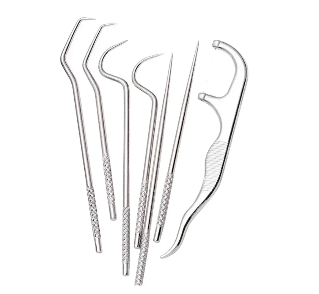 7Pcs Toothpick Set Metal Stainless Steel Oral Cleaning Tooth Flossing Portable Toothpick Floss Teeth Cleaner with Storage Tube