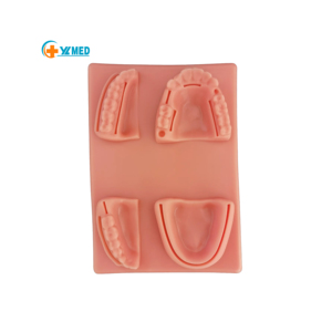 Modello di sutura medica in gomma orale per la pratica didattica modello di assistenza al Trauma per la pratica degli studenti di medicina - Product Image 1