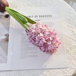 High-fidelity <b>Single</b>/double-headed Hyacinth Ball with Roots Potted Plant Artificial Simulation <b>Flower</b> Home Indoor Decoration - Product Image 5