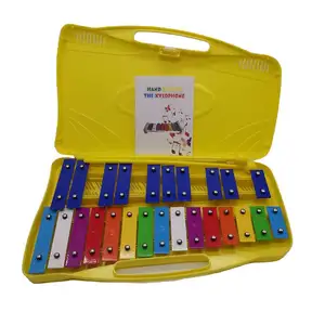 25个音符彩色彩色木琴，带金属键乐器，儿童钢琴
