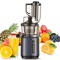 Professionele Serie Commerciële Slow Juicer Afzuigmachine Slimme Brede Voedergoot Voor Heel Fruit Langdurig Gebruik Elektrisch