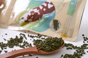 Meilleure vente Xun Yi Zhuang aliment de croissance nutritionnelle haute palatabilité granulés cristal crevettes aliment pour toutes les étapes de la vie - Product Image 3