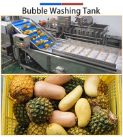 Grote fruit- en groente-luchtbellenwasmachine 2000kg bieten, mandarijnen, mango's, aardappelen, granaatappels, spuitwasapparatuur
