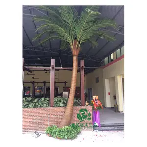 Zhen Xin Qi Ambachten Grote Planten Tropische Meters Hoogte 14 Ft 10M 200 Cm Hoge Grote Kunstmatige Kokospalmen Buiten
