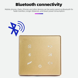 Amplifier dinding rumah pintar, penyetelan Bluetooth untuk latar belakang musik untuk lingkungan Hotel berbicara bahasa Inggris, plastik tahan lama - Product Image 3