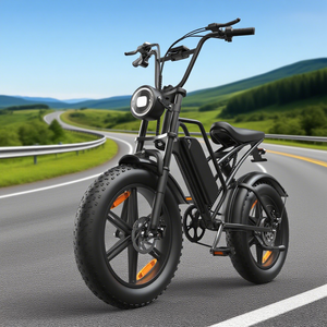 Giá bán buôn 20 inch Xe đạp điện 7 tốc độ LCD hiển thị e-xe đạp cho người lớn Ebike ba có thể điều chỉnh bánh răng ĐĨA PHANH thành phố Ebike - Product Image 5