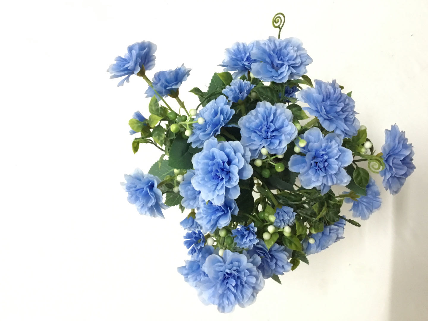 Bleu