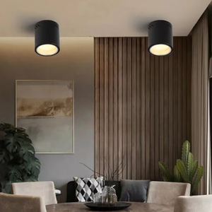 Surface Mounted <strong>Replaceable</strong> Bulb Housing Lighting Downlight Aluminium Down <strong>Light</strong>/ <strong>Ceiling</strong> Spot Lamp/Downlight - Product Image 1