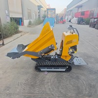 500kg Ladekapazität Dieselmotor Mini-Raupendumper Hydraulische Schubkarre Kipper mit Kurzem Wendekreis Neu Euro 5