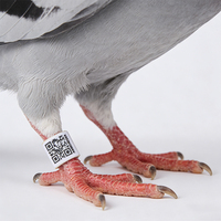 Mini-étiquette RFID NFC HF 13,56 MHz ISO18000-6C pour l'identification et la gestion des animaux, taille réglable, étanche, avec code QR, pour anneau de patte