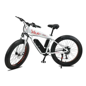 26 인치 지방 타이어 전자 자전거 48V 750W 모터 13AH 리튬 배터리 45 KM/H 전기 산악 자전거 ebike 눈 해변 전기 자전거