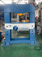 Presse hydraulique manuelle Luzhong HP-10S/40S/80S/200S 220v, petite, portable, robuste, verticale, avec moteur, pompe et noyau