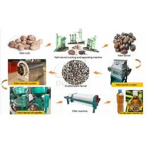 complete set palm kernel oil pressing line and palm kernel nut cracker and separator to remove husk in Nigeria