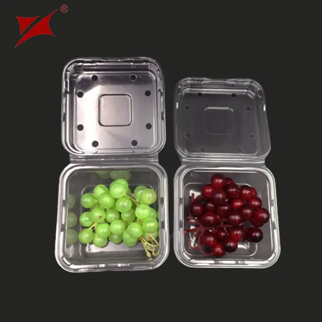 Regalo di frutta pizza personalizzato scatola di imballaggio di plastica per alimenti