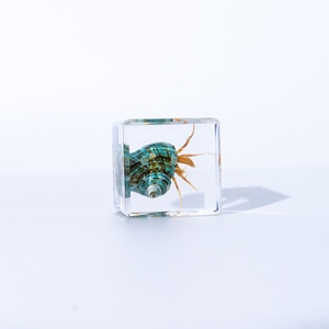 Nhựa Epoxy Nhà Sản Xuất Bất Tự Nhiên Côn Trùng Bug Nhúng Trong Nhựa Bọ Cạp Nhà Máy Bảo Quản Cho Khoa Học Lớp - Product Image 3