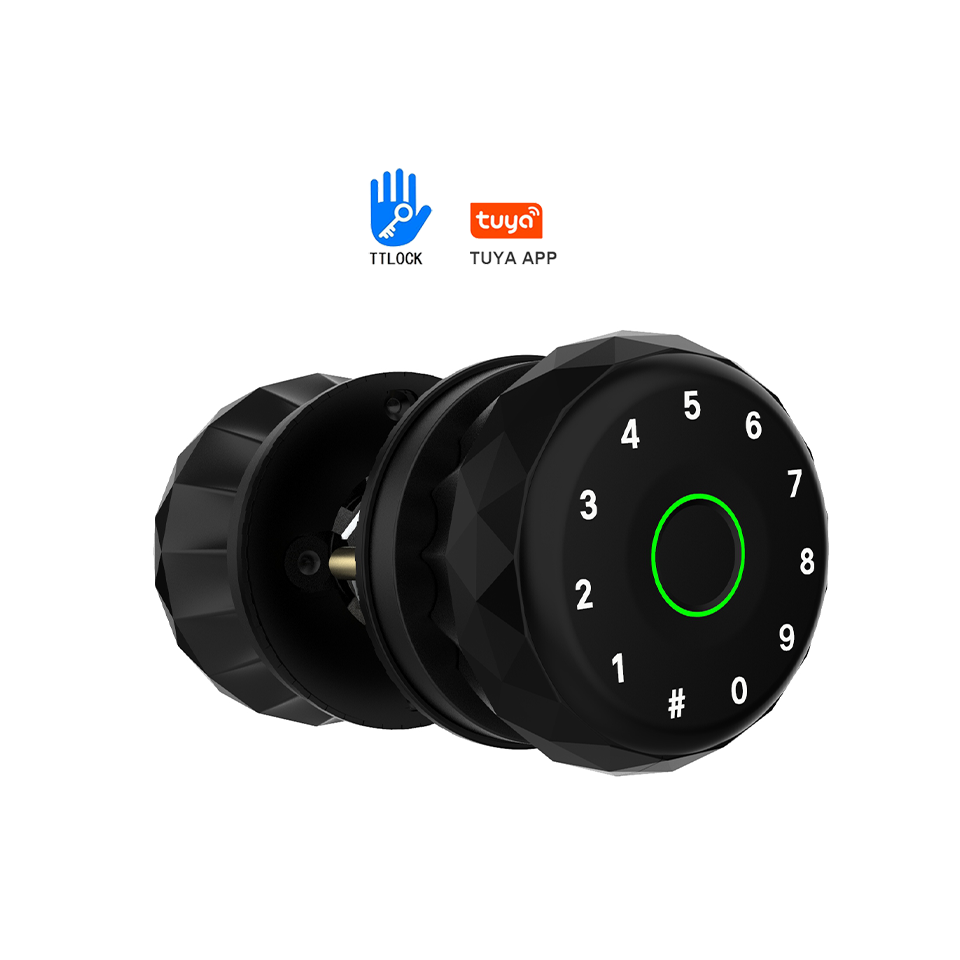Tuya TTLock Aluminum Alloy Smart Door Knob Ball Lock Biometric Fingerprint Rfid Card Password with Key Entry Interior Door Lock