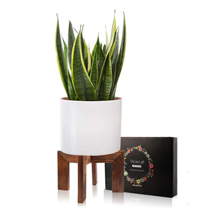 Wooden Flower Pot Stand Four Legs Midcentury Modern Durable Indoor Outdoor Use Floor Standing Balcony Rack - Product Image 3