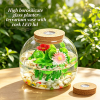 Décoration d'intérieur : Pot de fleurs hydroponique, terrarium, aquarium, vase en verre borosilicate de haute qualité avec couvercle