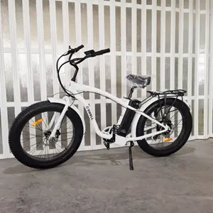2022 Ristar 사이클 새로운 패션 전기 자전거 750 와트 오프로드 산악 ebike 26 "* 4.0 인치 남자 전기 크루저 자전거 48v