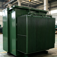 Transformateur triphasé monté sur socle 13,2 kV 480 V 225 kVA 250 kVA immergé dans l'huile, norme ANSI IEEE, transformateur de distribution extérieur