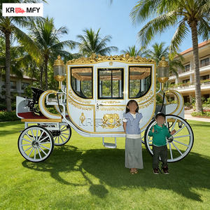 Carruaje de Caballos Eléctrico para Turismo, Estilo Clásico de Lujo, Material de Hierro, para Bodas, Modelo Royal Cinderella Garden - Product Image 4