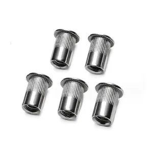 Blind Rivet Pcb Blind Nuts 304 Stainless Steel Blind M3 M4 M5 M6 316 Stainless Steel M6 Nut Sert Riveted Nuts