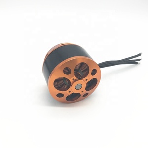 RT6366 tốc độ thấp mô-men xoắn cao 36 v dc động cơ không chổi than 2500 wát - Product Image 2