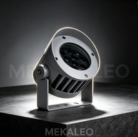 Reflector LED para Exteriores con Protección IP66 |   Iluminación DMX RGB RGBW para Iluminación de Fachadas