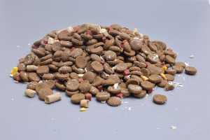 Alimento Seco para Perros de Marca Privada OEM al por Mayor, Alta Calidad, Orgánico, Sabor Natural, Alto en Proteínas, Bajo en Grasas, para Digestión Sensible - Product Image 6