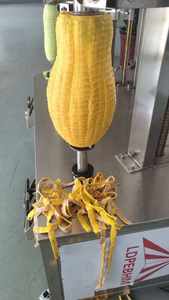 Machine à peler automatique pour citrouilles et melons - Acier inoxydable 304, facile à utiliser, pour le traitement des fruits et légumes - Product Image 6