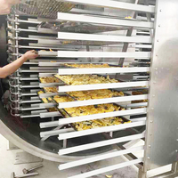Hoge Kwaliteit Vacuüm Vriesdrogen Fruit Machine Vriesdroogbanaan Machine