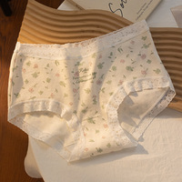 Culotte en soie élastique à taille moyenne pour femmes Culotte romantique en dentelle florale Taille unique Hipster Sous-vêtements pour femmes avec logo à la taille