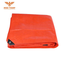Bâche en PE de poids moyen, enduite de HDPE, tissu imperméable, auvent extérieur, abri pour plantes, bâche pour bateau, voiture, camion