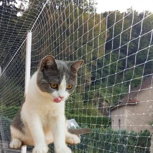 बहुक्रियाशील इनडोर पालतू जाल और बिल्ली गेट सुरक्षा दरवाजे के लिए पशु पैटर्न के साथ घर और सीढ़ी स्थापना बिल्ली नेट - Product Image 2