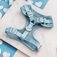 Ensembles de harnais pour chien en velours côtelé SinSky Heart, ensemble laisse et collier anti-traction de créateur, ensemble de harnais pour chien léger brodé et réglable
