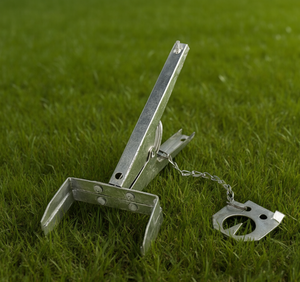<b>Silver</b> Mole <b>Clip</b>/Device - Product Image 1