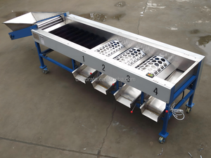 VBJX patates sarımsak tarihi kiraz meyve boyutu sıralama sıralayıcı makine meyve ve sebze boyutları sıralama makineleri hattı - Product Image 5