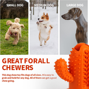 AFP <strong>Wholesale</strong> Nylon Rubber Dog <strong>Chew</strong> Cactus Bone Sticks <strong>Durable</strong> TPR Dental Teeth Clean <strong>Pet</strong> <strong>Chew</strong> <strong>Toys</strong> for Long-lasting Chewing Fun - Product Image 4