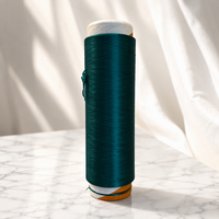 Offre Spéciale Filament Texturé en Polyester 300D/576F S+Z SD SIM DTY Grade AA pour le Tissage Textile