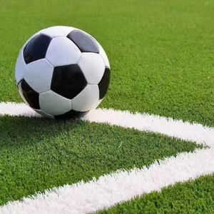 Meisen alta densidad PP césped artificial 10mm 12mm 20mm para fútbol al aire libre campo de fútbol Padel tenis <span class=keywords><strong>Hochey</strong></span> corte deportes césped - Product Image 5