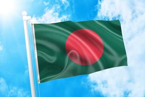 Livraison rapide impression numérique Polyester conception personnalisée tous les pays drapeau main vague <span class=keywords><strong>pas</strong></span> <span class=keywords><strong>cher</strong></span> drapeau du Bangladesh pour diverses Occasions - Product Image 6