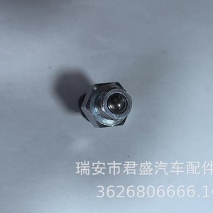 Interruptor de Luz de Reversa BHIX-4S062-AA para Volkswagen, Repuesto para Automóvil - Product Image 4