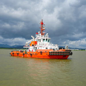 Barge et remorqueur offshore en acier de 30 m (100 pieds) personnalisés avec moteur à vendre - Product Image 4