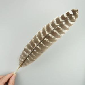 HP-69 Plumage de <span class=keywords><strong>faisan</strong></span> à col rond brun Nat.1.5-2in 3G Plume de <span class=keywords><strong>faisan</strong></span> - Product Image 3