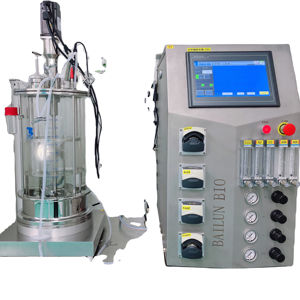 Biorreactor de Laboratorio de Vidrio de 20L para Enzimas, Biorreactor de Pequeña Escala BLBIO-20GJA con Agitación Mecánica, Cultivo Líquido de Escherichia Coli, Biorreactor de Amilasa - Product Image 1