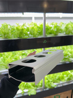 Serres, système hydroponique NFT, agriculture, culture de légumes, fraises, fournisseur de tuyaux en PVC carrés pour l'hydroponie