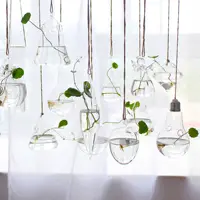 Vaso hidropônico de flores para pendurar, vasos transparentes decorativos para casa, novo, 2022
