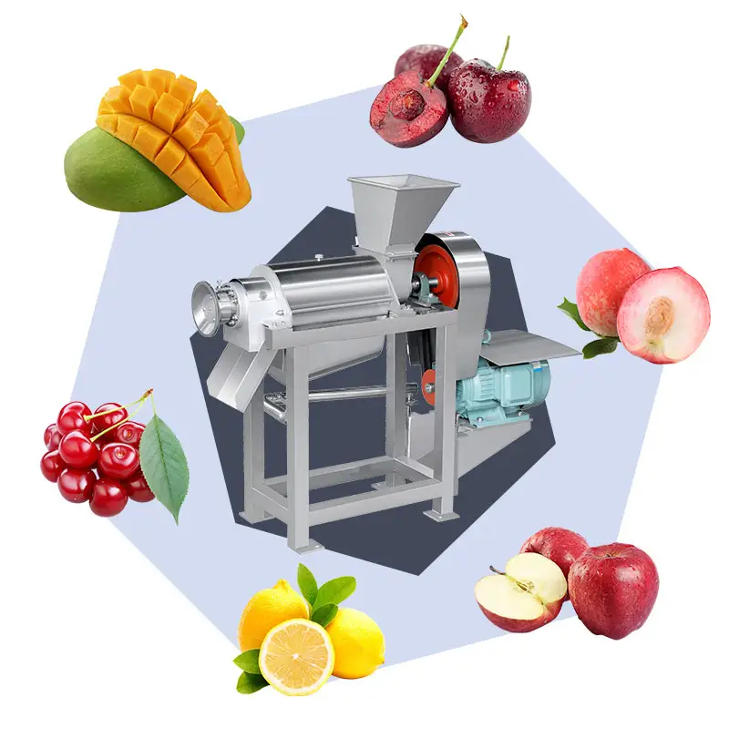 Presse à vis Multi Fruit Juicer Extracteur Grenade Gingembre Cajou Pomme Citrons Jus Machine Industrielle Pour L'amérique