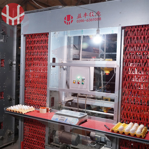 Cages à poulets en batterie de type H, galvanisées, durables, structure <span class=keywords><strong>RTL</strong></span>, capacité de 1000 poulets, cages à poulets à vendre - Product Image 2